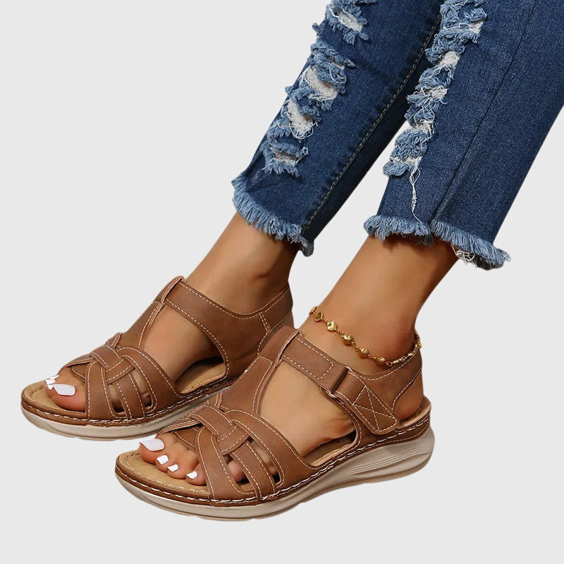 Brown / 12 US | 43 EU