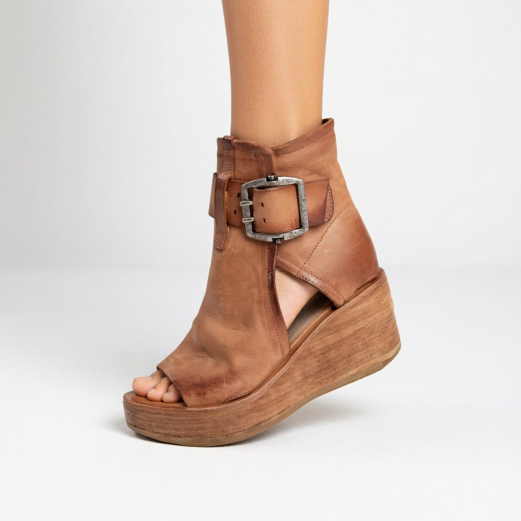 Brown / 12
