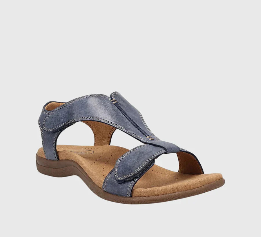 Blue / 11 US | 42 EU